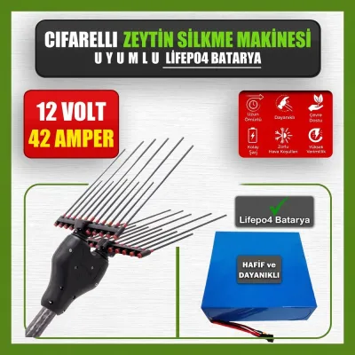 Pilli Batarya 12V 42Ah LiFePO4 Lityum Akü - Cifarelli Zeytin Silkme Makinesi Uyumlu (12 Volt 42 Amper), Standart BMS