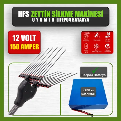 Pilli Batarya 12V 150Ah LiFePO4 Lityum Akü - HFS Zeytin Silkme Makinesi Uyumlu (12 Volt 150 Amper), Standart BMS