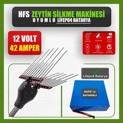 Pilli Batarya 12V 42Ah LiFePO4 Lityum Akü - HFS Zeytin Silkme Makinesi Uyumlu (12 Volt 42 Amper), Standart BMS