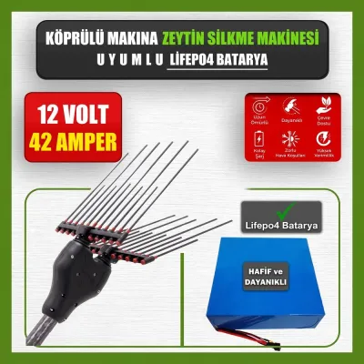 Pilli Batarya 12V 42Ah LiFePO4 Lityum Akü - Köprülü Makina Zeytin Silkme Makinesi Uyumlu (12 Volt 42 Amper), Standart BMS
