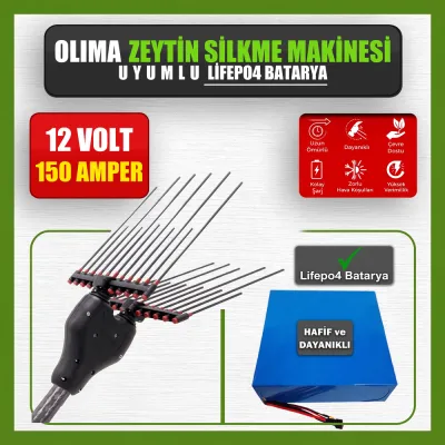 Pilli Batarya 12V 150Ah LiFePO4 Lityum Akü - Olima Zeytin Silkme Makinesi Uyumlu (12 Volt 150 Amper), Standart BMS