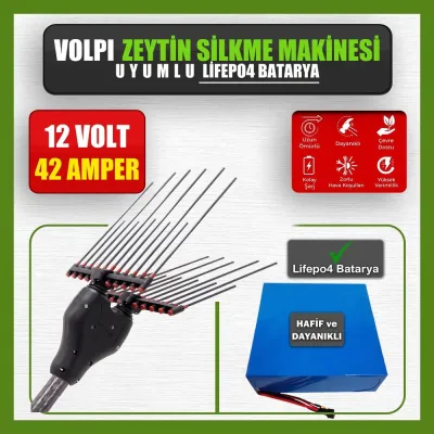 Pilli Batarya 12V 42Ah LiFePO4 Lityum Akü - Volpi Zeytin Silkme Makinesi Uyumlu (12 Volt 42 Amper), Standart BMS